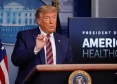 Ái nữ ông Trump gọi những người gây rối là 'yêu nước' ảnh 2 Ông Trump kêu gọi người ủng hộ 'về nhà'