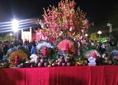 Rộn ràng sắc màu Tết ở công viên Lê Văn Tám ảnh 6 Lễ hội Tết Việt sắp diễn ra ở TP.HCM có gì đặc biệt?
