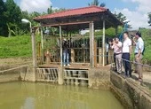 Đà Nẵng 2019: Nắng nóng, hạn hán nhất trong lịch sử quan trắc ảnh 4 Miền Trung đối diện cơn hạn hán lịch sử sau 45 năm