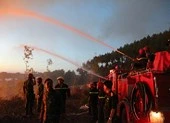 Lửa cháy xuyên đêm ở Quảng Ngãi thiêu hơn 30 ha rừng ảnh 3 Hơn 80 ha rừng ở Thừa Thiên - Huế bị thiêu rụi