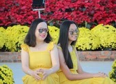 Năm 2020, Chủ tịch Đà Nẵng hy vọng thành phố đạt 3 kỷ lục ảnh 4 Trẩy hội trên đường hoa tết hơn 6 tỉ đồng ở Đà Nẵng