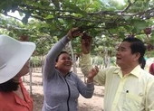 Phú Yên đẹp lạ lùng dưới góc máy của người xứ Nẫu ảnh 19 Du lịch đông khách nhờ 'Tôi thấy hoa vàng trên cỏ xanh'