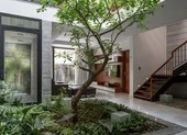 Ngôi nhà thiết kế 2 lớp mặt tiền chống bụi ở Bình Dương ảnh 15 Ngôi nhà tựa như ốc đảo xanh giữa lòng Hà Nội