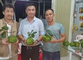 Tiểu thương TP.HCM sốt ruột chờ khách đến mua hàng ảnh 10 Hoa mới, trái cây hình độc, lạ rục rịch ra chợ tết