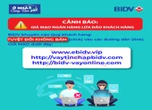 Coi chừng sập bẫy chiêu lừa mới khi mua sắm online ảnh 1 Làm gì khi 'trót dại' click vào trang web nghi ngờ giả mạo?