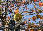 Nóng: CSGT toàn quốc tổng kiểm soát xử lý vi phạm giao thông ảnh 2 Loa phát thanh ở Huế bị nhiễu sóng có tiếng nước ngoài