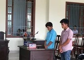 Bị dừng xe vì vượt đèn đỏ, tài xế lao xuống đánh CSGT ảnh 1 Gây náo loạn trên quốc lộ 1A, 6 người lãnh án