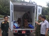 200 người vây bắt phạm nhân vượt ngục ở Yên Bái ảnh 1 Hàng trăm chiến sĩ cùng chó nghiệp vụ vây bắt kẻ vượt ngục