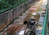 Giết cha mẹ vì bị phát hiện gian dối chuyện học đại học, công việc lương cao ảnh 2 Anh em sinh đôi 11 tuổi chết dưới kênh, cảnh sát bắt người cha nghi là thủ phạm