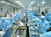 Cần Thơ: Nhiều sở, ngành họp trực tuyến với Quốc hội ảnh 1 Đề nghị giảm thuế và chưa tăng lương cơ sở
