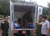 Truy nã cấp độ 'đặc biệt nguy hiểm' phạm nhân 2 lần vượt ngục ảnh 3 Hàng trăm chiến sĩ cùng chó nghiệp vụ vây bắt kẻ vượt ngục