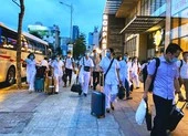 3 ca nhiễm COVID-19 ở Quảng Nam từng dự đám tang, đi chợ ảnh 1 Đoàn y bác sĩ Hải Phòng đã đến Đà Nẵng giúp chống dịch