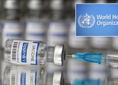 Nghiên cứu Nga-Ý: Vaccine Sputnik V chống lại Omicron tốt hơn vaccine Pfizer ảnh 2 WHO nối lại quy trình phê duyệt vaccine Sputnik V của Nga