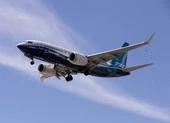 Từ 31-12-2021: Boeing 737 Max được hoạt động trong lãnh thổ Việt Nam ảnh 2 Kiến nghị cho Boeing 737 Max hoạt động trở lại tại Việt Nam