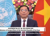 Liên Hợp Quốc đánh giá cao nỗ lực của Việt Nam trong bảo vệ quyền con người ảnh 3 Việt Nam gửi thông điệp tại Phiên họp của Hội đồng Nhân quyền Liên hợp quốc
