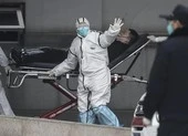 26 người chết, 8 thành phố bị 'cấm cửa' do virus corona mới ảnh 4 Virus Vũ Hán: Châu Á đặt câu hỏi độ minh bạch của Trung Quốc