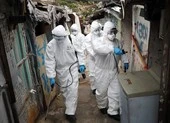 Phát hiện có tới hai loại virus gây dịch COVID-19 ảnh 2 COVID-19: Trung Quốc lo lây dịch ngược từ bên ngoài