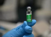 WHO phê duyệt khẩn cấp vaccine COVID-19 của Johnson&Johnson ảnh 2 WHO: Không có dấu hiệu cần ngừng dùng vaccine AstraZeneca