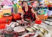 Sẽ xử lý tiểu thương ngang nhiên bán rùa xanh giữa chợ ảnh 2 Kiên Giang: Ngang nhiên bán động vật quý hiếm giữa chợ
