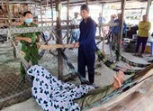 Kiên Giang: Cuồng ghen, đâm con riêng, đánh vợ hờ ảnh 2 Sa lưới sau 48 giờ gây án
