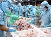 Ngoại ngữ kém, khó khai thác lợi thế hiệp định thương mại ảnh 3 EVFTA tạo đà tăng trưởng kinh tế