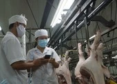 1 chiếc bánh sôcôla không còn phải cõng 13 giấy phép ảnh 3 Một chiếc bánh sôcôla phải cõng... 13 giấy phép