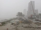 Bão số 5 tiến gần bờ biển Quảng Trị-Quảng Ngãi, sẵn sàng kế hoạch sơ tán dân ảnh 2 Cây cối ngã đổ, người dân đội mưa to đi mua thực phẩm ở Đà Nẵng