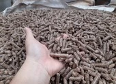 Bị ảnh hưởng COVID-19, ngành gỗ vẫn tăng trưởng 30% so với năm trước ảnh 3 Phụ phẩm bỏ đi bất ngờ mang về cho Việt Nam 350 triệu USD/năm