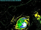 Bão số 9 giật trên cấp 17 cách Bình Định - Phú Yên khoảng 230km ảnh 2 Bão số 9 tăng cấp 15, thiệt hại nặng ở đảo Song Tử Tây