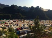 Nông sản đang 'nước sôi lửa bỏng', Bộ trưởng có công văn khẩn ảnh 2 Thứ trưởng Bộ NN&PTNT: 'Giải cứu thanh long, không xong không về'