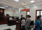 Mua bán bằng cấp giả như mua bán rau ảnh 2 3 bị cáo được thả tại tòa