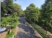 Công viên hơn 700 tỷ đồng 'độc nhất vô nhị' tại Đà Nẵng ảnh 13 TP.HCM làm 10 ha công viên công cộng trong năm 2021
