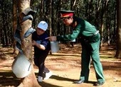 Trả hồ sơ điều tra bổ sung vụ cựu Thượng úy tham ô tài sản ảnh 2 Giám đốc và trợ lý bị truy tố vì phá hàng trăm hecta rừng