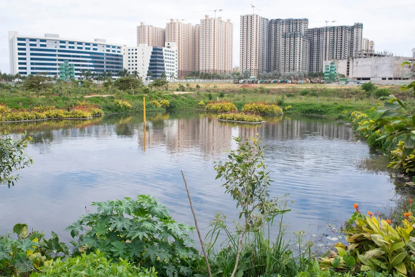 Một hồ nước ở TP Bengaluru (Ấn Độ) sau khi được nhóm của ông Malligavad hồi sinh. Ảnh: THE NEW YORK TIMES ảnh 3 22india-anand-profile-04-tgcp-superJumbo.jpg