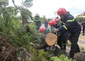 Hỏa tốc hỗ trợ, xem xét miễn giảm lãi vay... cho dân vùng lũ ảnh 2 Bão số 5 gây thiệt hại nặng cho miền Trung