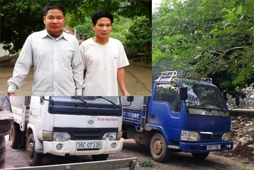 Hai đối tượng Thái và Yên cùng hai xe ô tô sử dụng vận chuyển trâu, bò trộm cắp được ảnh 1 172437_W2