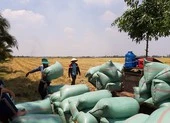 273 tấn nông sản được Phương Trang vận chuyển từ Lâm Đồng về TP.HCM ảnh 3 Khẩn cấp giải phóng hơn 10 triệu tấn lúa, cá… tồn đọng