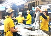 Chấm dứt hợp đồng lao động trước thời hạn thế nào cho đúng luật? ảnh 2 Hết thời hạn thử việc, bao lâu thì được ký hợp đồng lao động?