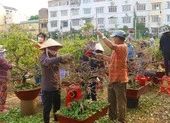 22 sinh viên, con em y bác sĩ TP.HCM nhận học bổng 'Ươm mầm blouse trắng' ảnh 2 Những người mong Tết để đi lặt lá kiếm tiền