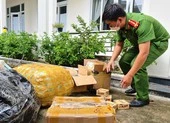 Đà Nẵng: Đôi tình nhân chuyên bán lẻ thuốc lắc ảnh 2 Đà Nẵng: Tạm giữ hơn hơn 2.800 gói thuốc lá ngoại không chứng từ