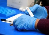 Ấn Độ siết bán tự do kit test COVID-19 cho dân, lý do gì? ảnh 2 Quy trình cấp phép kit test COVID-19 của WHO diễn ra thế nào?