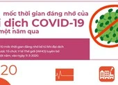 Vaccine COVID-19 thứ 2 do Việt Nam sản xuất đi vào thử nghiệm ảnh 1 Đại dịch COVID-19 tròn một năm: 10 mốc thời gian đáng nhớ