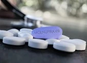 Nóng: Bộ Y tế cho phép sản xuất thuốc Molnupiravir “made in Việt Nam“ ảnh 1 Xem xét cấp số đăng ký thuốc Molnupiravir 'made in Việt Nam'