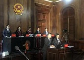 Án chung thân tài xế ô tô công nghệ làm nhiều 'nghề' ảnh 2 Cựu lãnh đạo Vinafood II không được miễn truy cứu hình sự