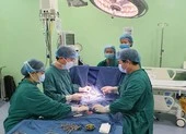 Bé gái 15 tháng tuổi trụy tim do mắc tay chân miệng ảnh 2 Ca ghép thận đầu tiên cho trẻ suy thận giai đoạn cuối