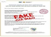 Sản phụ đi sinh ký giấy xét nghiệm đột nhiên gục xuống bàn vì lý do này ảnh 2 Thông tin TP.HCM xuất hiện biến chủng Omicron là giả mạo