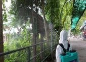 Chuyện ly kỳ ở Thảo Cầm Viên: Đôi hà mã 10 năm hạnh phúc ảnh 3 Thảo Cầm Viên được phun khử trùng, duy trì hoạt động