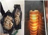 Mang 11 sừng tê giác từ Hàn Quốc về Việt Nam ảnh 3 Vụ bắt 6 kg nghi ngà voi: Chỉ có 0,76 kg là thật