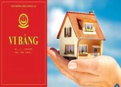 Đồng Tháp: Khẩn cấp di dời 551 hộ dân ven sông Tiền ảnh 2 Đồng Tháp phê duyệt đề án phát triển Văn phòng Thừa phát lại