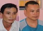 2 anh em rủ nhau đi trộm ảnh 3 Anh vợ và em rể rủ nhau đi trộm mai